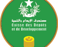 CDD